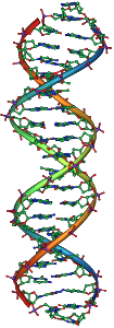 DNA_Overview2